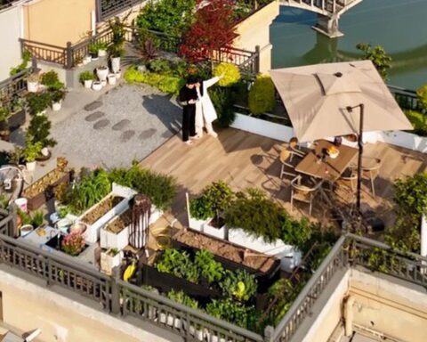 Biến sân thượng tầng 32 của penthouse thành vườn rau, ao cá: Lại 1 tác phẩm kinh điển của “Pháp sư Trung Hoa”