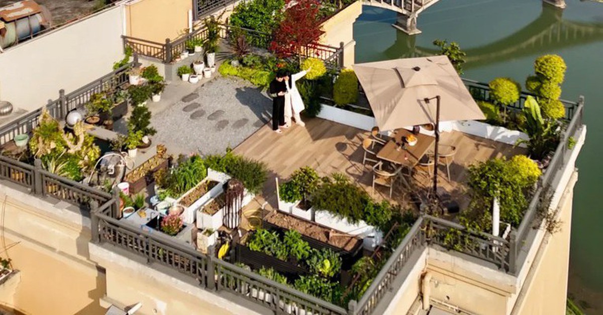 Biến sân thượng tầng 32 của penthouse thành vườn rau, ao cá: Lại 1 tác phẩm kinh điển của “Pháp sư Trung Hoa”
