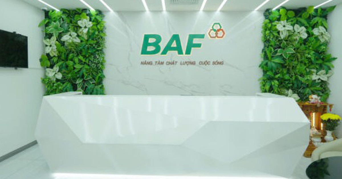 Baf Việt Nam sắp chào bán hơn 40 triệu cổ phiếu