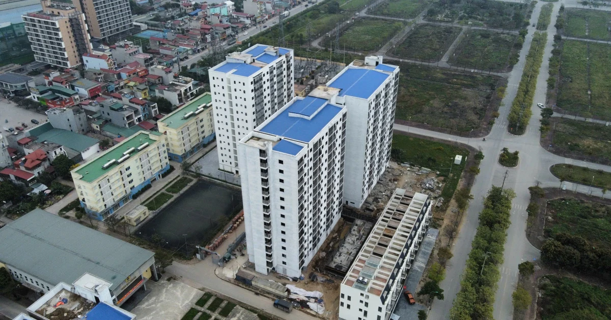 Kiến nghị bỏ quy định về ‘lợi nhuận định mức’ với nhà ở thương mại giá phù hợp