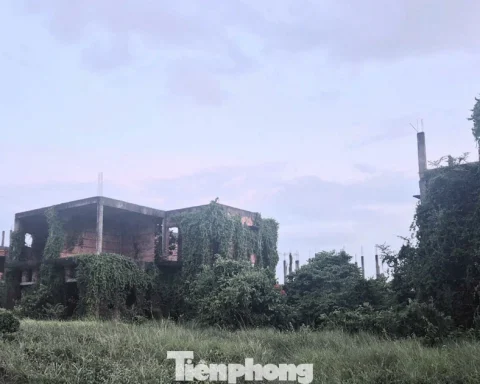 Dự án nghìn tỷ ‘đắp chiếu’, siêu đô thị thành… vườn sắn