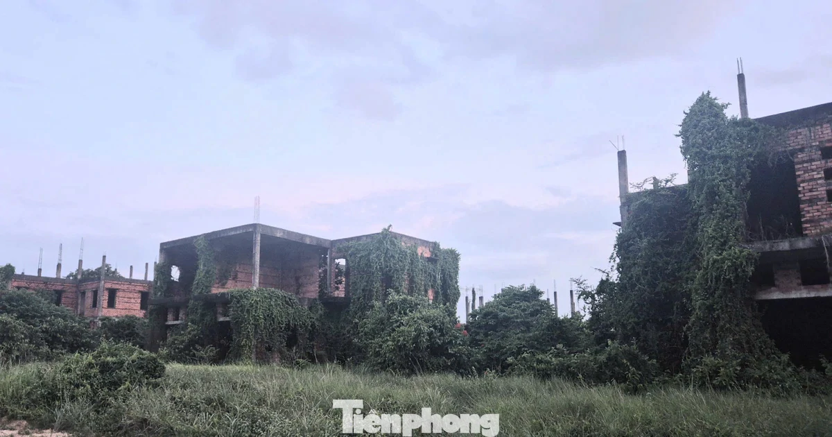 Dự án nghìn tỷ ‘đắp chiếu’, siêu đô thị thành… vườn sắn