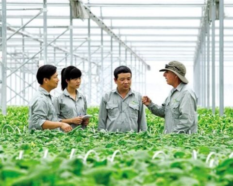 Quy định mới về đăng ký tổ hợp tác, hợp tác xã, liên hiệp hợp tác xã