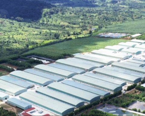 Lợi nhuận của Hoàng Anh Gia Lai tăng vọt, vượt 2.290 tỷ đồng sau 6 tháng