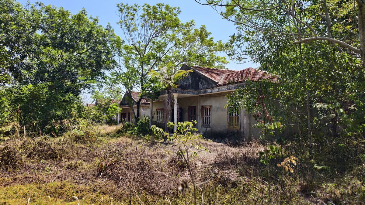 Hoang phế khu du lịch hơn 2 thập kỷ ‘ngốn’ hàng trăm hecta ‘đất vàng’ ven biển