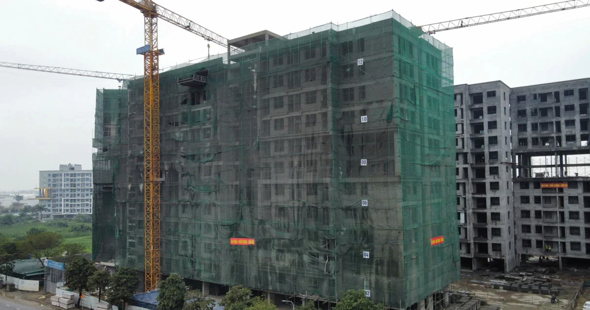 ‘Bùng nổ’ nguồn cung nhà ở xã hội