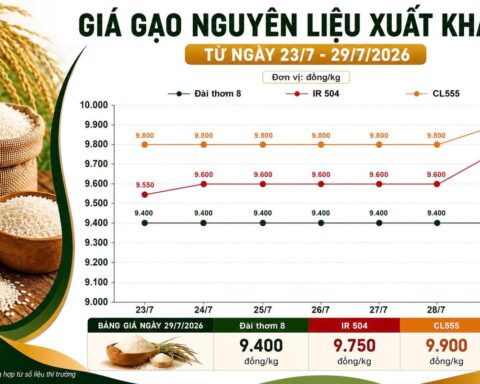 Thị trường hàng hóa 29/7: Gạo xuất khẩu bứt tốc, heo hơi nối dài đà giảm