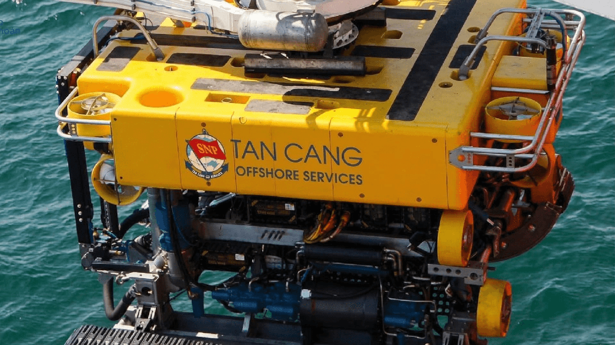 Dịch vụ biển Tân Cảng (TOS) báo lãi tăng trưởng trước thềm chuyển sàn HoSE