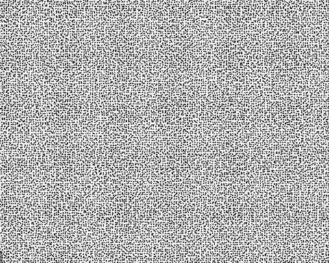 Phông chữ khiến AI không thể giải mã, chỉ con người mới đọc được