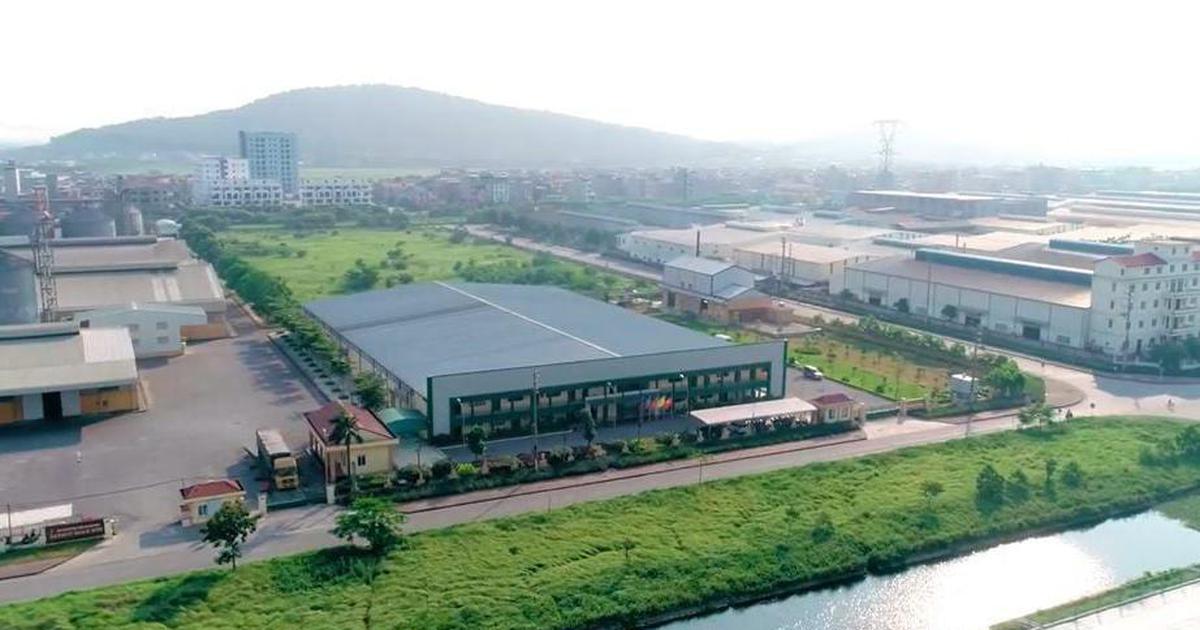 Giá lợn hơi giảm kéo lãi ròng quý II/2026 của Dabaco ‘đi lùi’ 43%