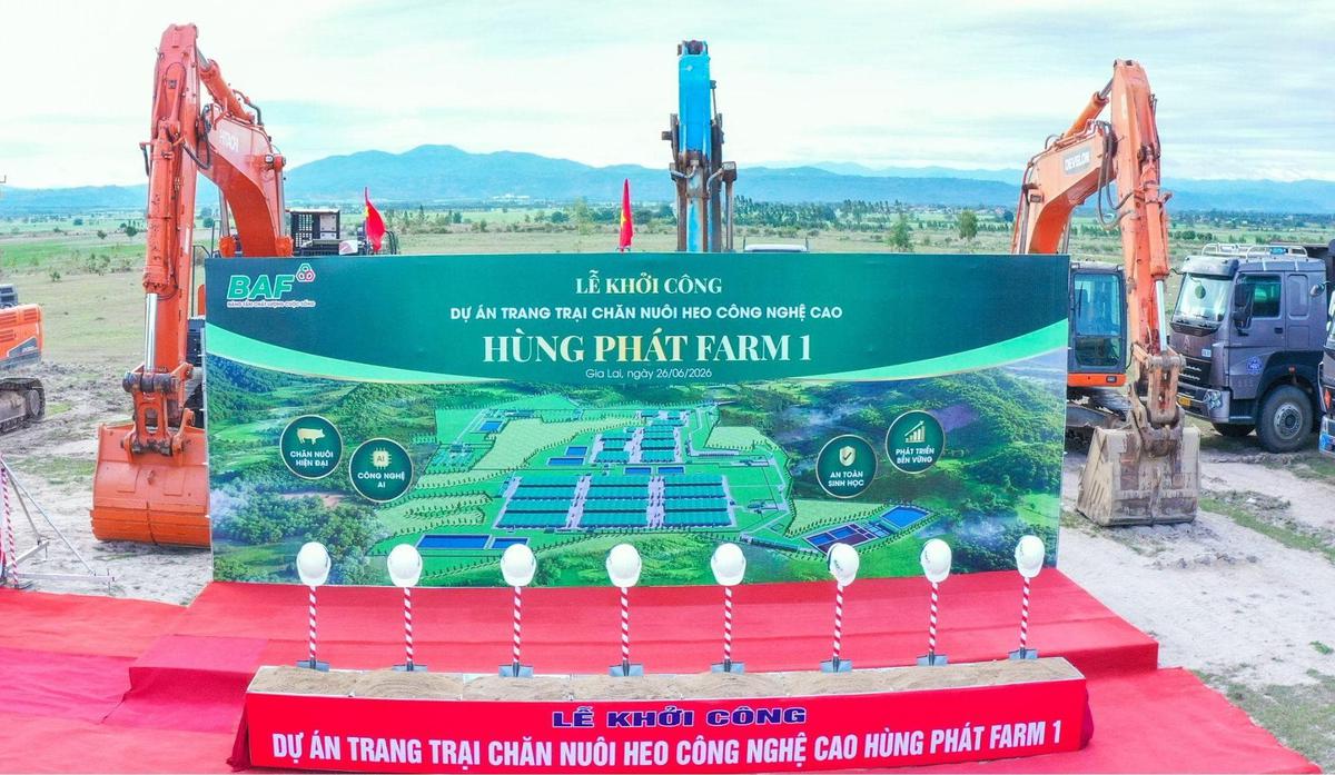 BAF 6 tháng đầu năm 2026: Tăng 61% sản lượng heo so với cùng kỳ năm trước, đẩy mạnh đầu tư cho chu kỳ tăng trưởng mới