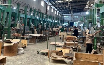 Doanh nghiệp xuất khẩu lo 