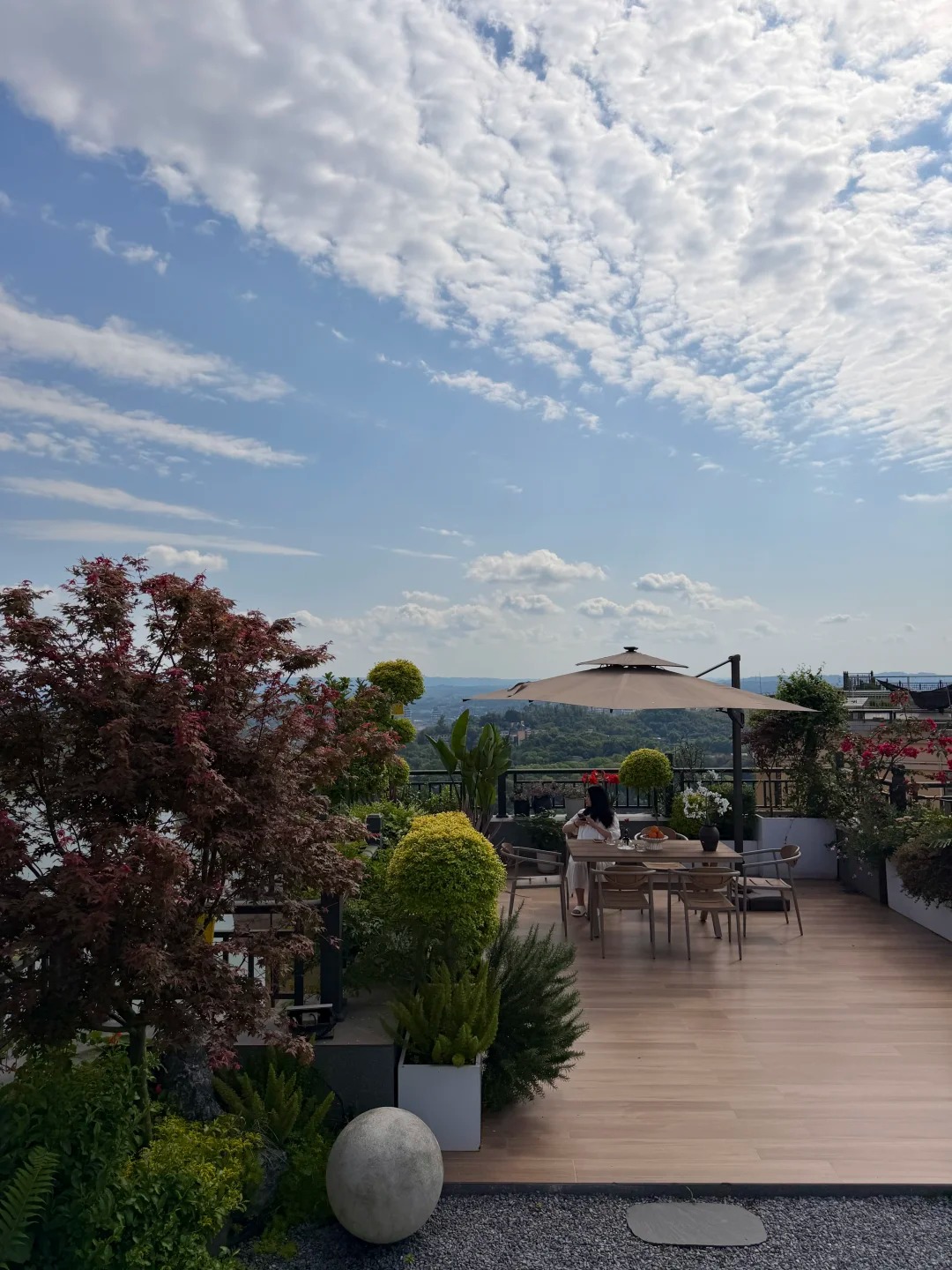 Biến sân thượng tầng 32 của penthouse thành vườn rau, ao cá: Lại 1 tác phẩm kinh điển của "Pháp sư Trung Hoa"- Ảnh 4.