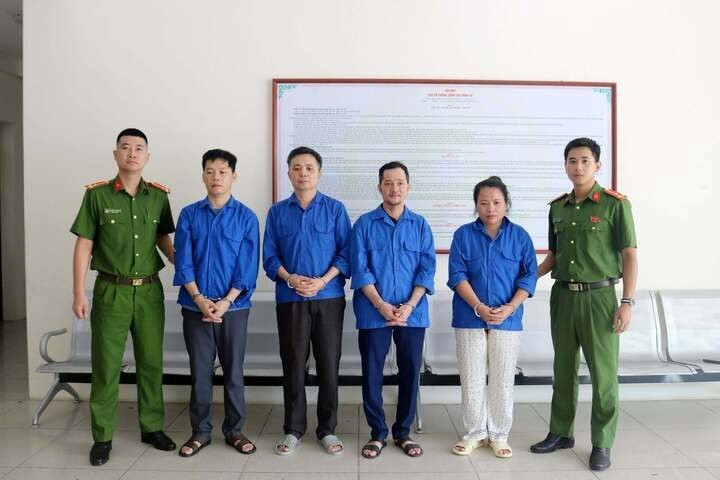 Khởi tố một loạt Giám đốc, chủ doanh nghiệp- Ảnh 6.