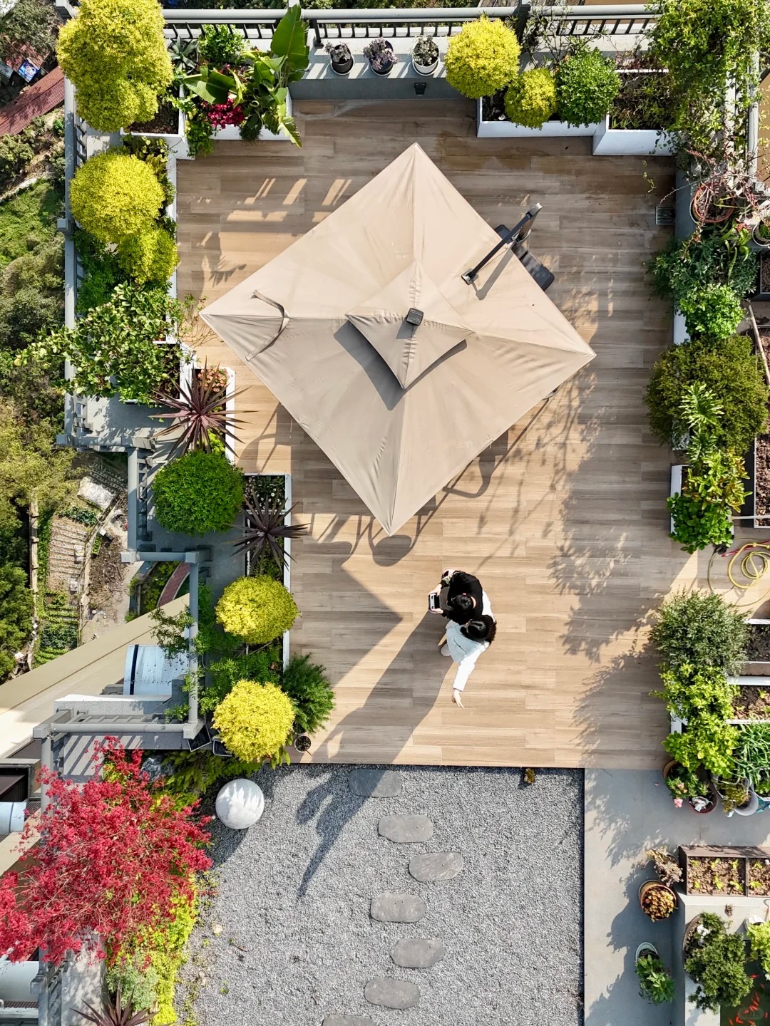 Biến sân thượng tầng 32 của penthouse thành vườn rau, ao cá: Lại 1 tác phẩm kinh điển của "Pháp sư Trung Hoa"- Ảnh 2.