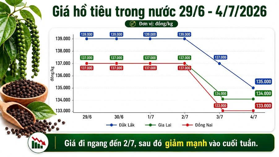 Thị trường hàng hóa tuần qua (29/6 - 4/7): Gạo khởi sắc, hồ tiêu giảm mạnh, cao su và heo hơi giằng co- Ảnh 2.