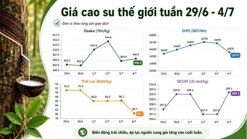 Thị trường hàng hóa tuần qua (29/6 - 4/7): Gạo khởi sắc, hồ tiêu giảm mạnh, cao su và heo hơi giằng co- Ảnh 3.