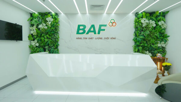 Baf Việt Nam sắp chào bán hơn 40 triệu cổ phiếu- Ảnh 1. Baf Việt Nam sắp chào bán hơn 40 triệu cổ phiếu- Ảnh 1.