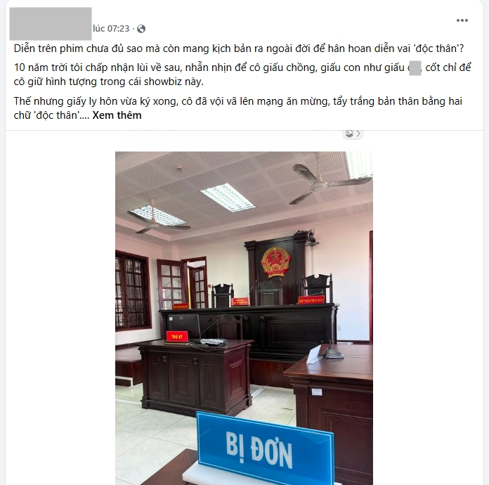 Thư Đan Nguyễn - mỹ nhân phim Báu Vật Trời Cho bị chồng tố lừa dối, “diễn vai độc thân”- Ảnh 1.