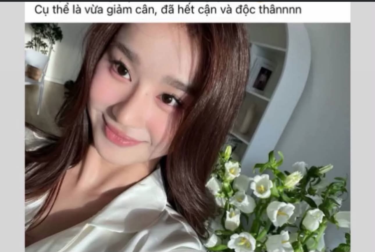 Thư Đan Nguyễn - mỹ nhân phim Báu Vật Trời Cho bị chồng tố lừa dối, “diễn vai độc thân”- Ảnh 2.
