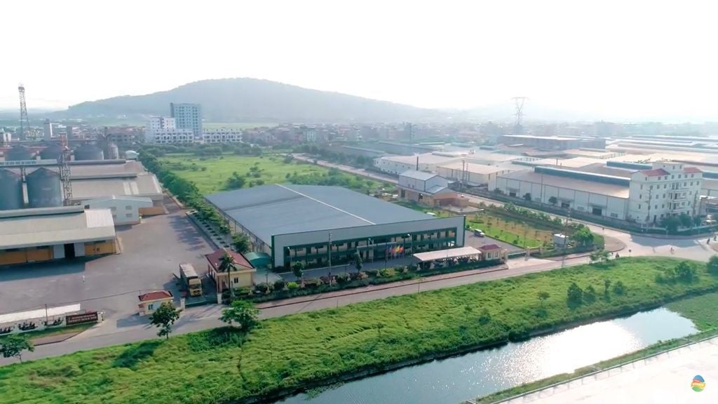 Giá lợn hơi giảm kéo lãi ròng quý II/2026 của Dabaco ‘đi lùi’ 43% - Ảnh 1.