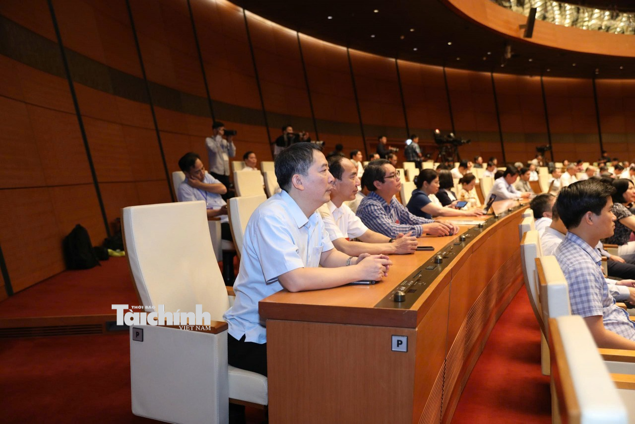 Đảng bộ Bộ Tài chính quán triệt, triển khai Nghị quyết Hội nghị lần thứ ba Ban Chấp hành Trung ương Đảng khóa XIV Đảng bộ Bộ Tài chính quán triệt, triển khai Nghị quyết Hội nghị lần thứ ba Ban Chấp hành Trung ương Đảng khóa XIV