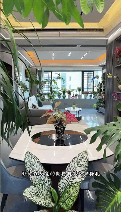 Dụi mắt 1 tỷ lần trước "căn hộ trên không" của pháp sư Trung Hoa: Trồng hơn 200 chậu cây đẹp quên cả mặt đất- Ảnh 4.