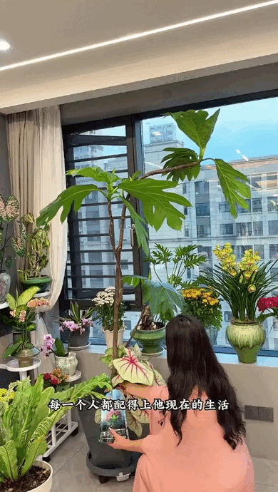 Dụi mắt 1 tỷ lần trước "căn hộ trên không" của pháp sư Trung Hoa: Trồng hơn 200 chậu cây đẹp quên cả mặt đất- Ảnh 7.