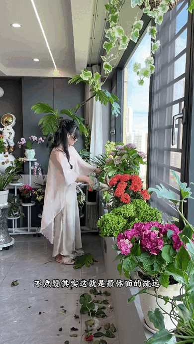 Dụi mắt 1 tỷ lần trước "căn hộ trên không" của pháp sư Trung Hoa: Trồng hơn 200 chậu cây đẹp quên cả mặt đất- Ảnh 6.
