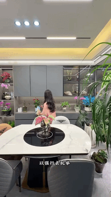 Dụi mắt 1 tỷ lần trước "căn hộ trên không" của pháp sư Trung Hoa: Trồng hơn 200 chậu cây đẹp quên cả mặt đất- Ảnh 5.