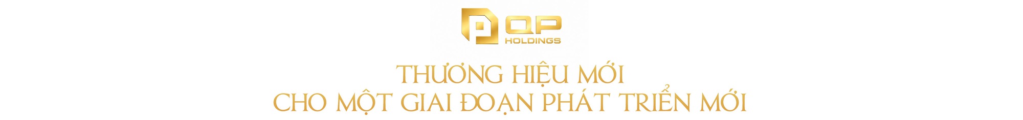 QP  Holdings: Từ tái định vị thương hiệu đến hành trình trở thành nhà phát triển bất động sản định hướng tập đoàn đầu tư - Ảnh 2.