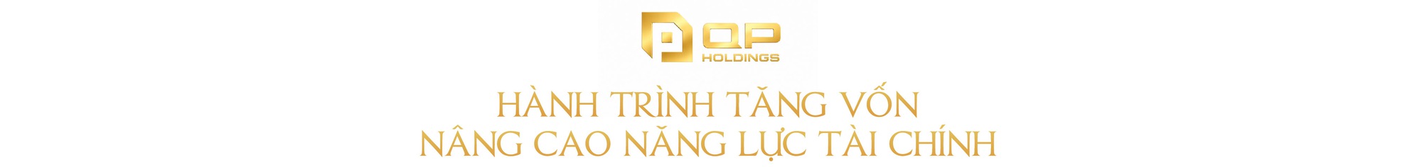QP  Holdings: Từ tái định vị thương hiệu đến hành trình trở thành nhà phát triển bất động sản định hướng tập đoàn đầu tư - Ảnh 5.