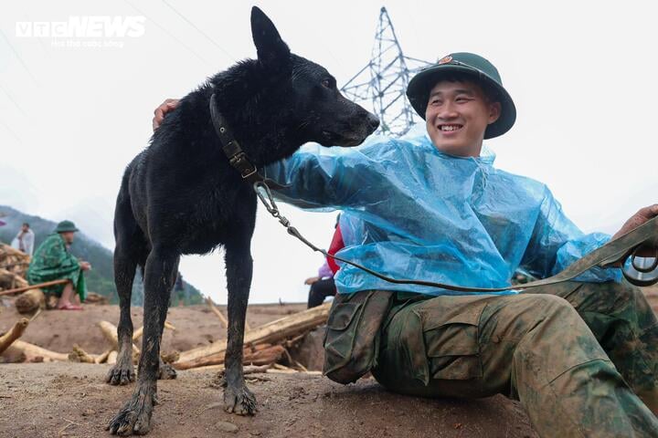 'Chiến binh 4 chân' từng tìm kiếm người ở Làng Nủ, nay vào Mường Than cứu nạn- Ảnh 10.
