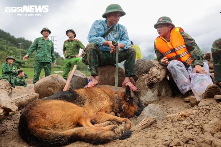 'Chiến binh 4 chân' từng tìm kiếm người ở Làng Nủ, nay vào Mường Than cứu nạn- Ảnh 14.