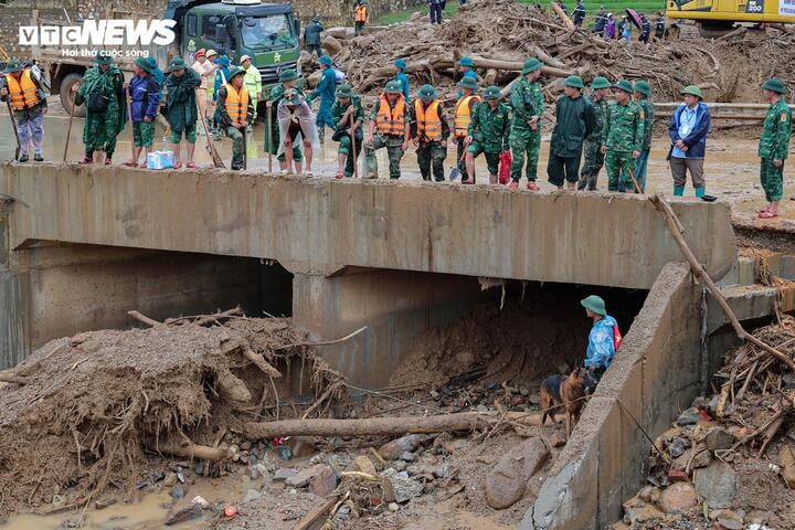 'Chiến binh 4 chân' từng tìm kiếm người ở Làng Nủ, nay vào Mường Than cứu nạn- Ảnh 3.