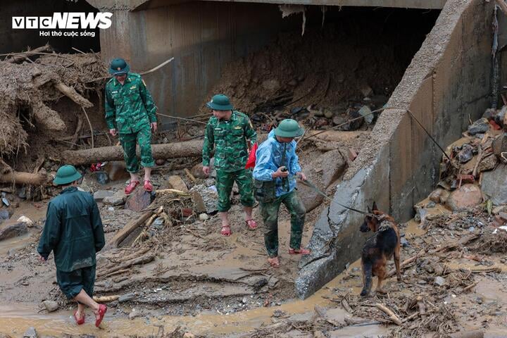 'Chiến binh 4 chân' từng tìm kiếm người ở Làng Nủ, nay vào Mường Than cứu nạn- Ảnh 5.