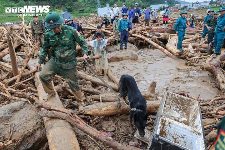 'Chiến binh 4 chân' từng tìm kiếm người ở Làng Nủ, nay vào Mường Than cứu nạn- Ảnh 4.