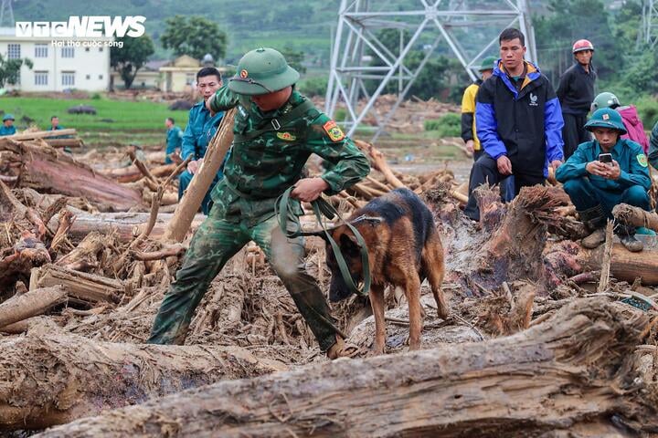 'Chiến binh 4 chân' từng tìm kiếm người ở Làng Nủ, nay vào Mường Than cứu nạn- Ảnh 9.