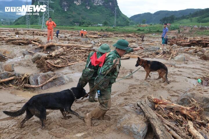 'Chiến binh 4 chân' từng tìm kiếm người ở Làng Nủ, nay vào Mường Than cứu nạn- Ảnh 8.