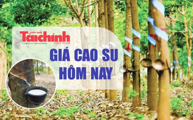 Ngày 13/7: Giá cao su thế giới biến động trái chiều, trong nước ổn định