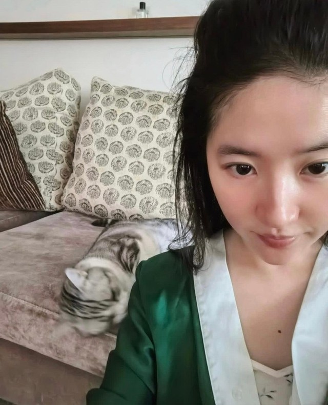 Vì sao Lưu Diệc Phi bị nói như sinh viên?- Ảnh 9.