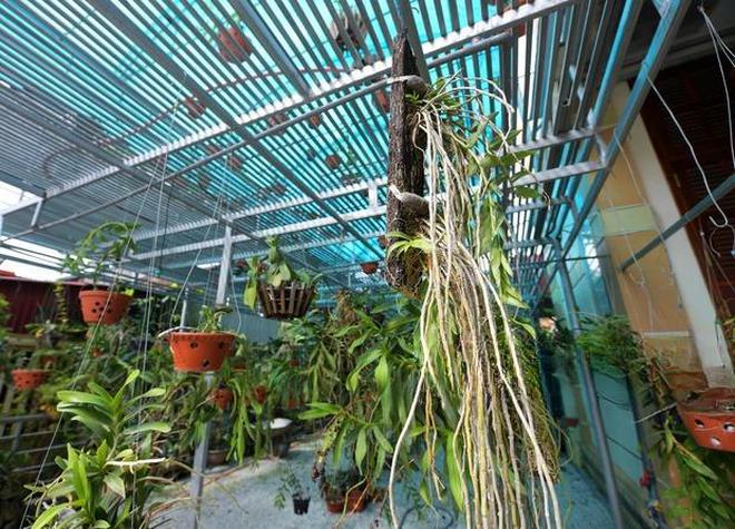 Căn nhà ở quê của vợ TGĐ Tập đoàn Sơn Hải- Ảnh 6.