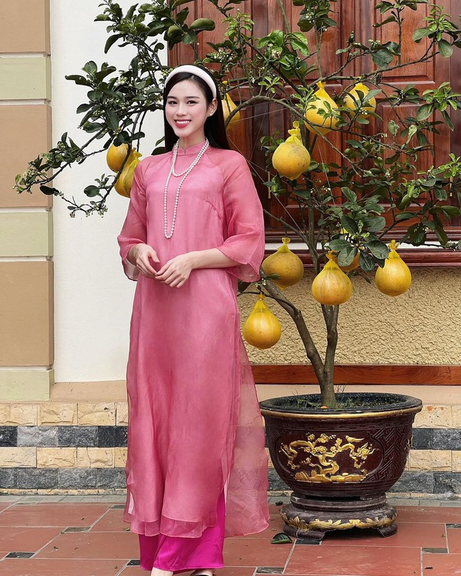 Căn nhà ở quê của vợ TGĐ Tập đoàn Sơn Hải- Ảnh 13.