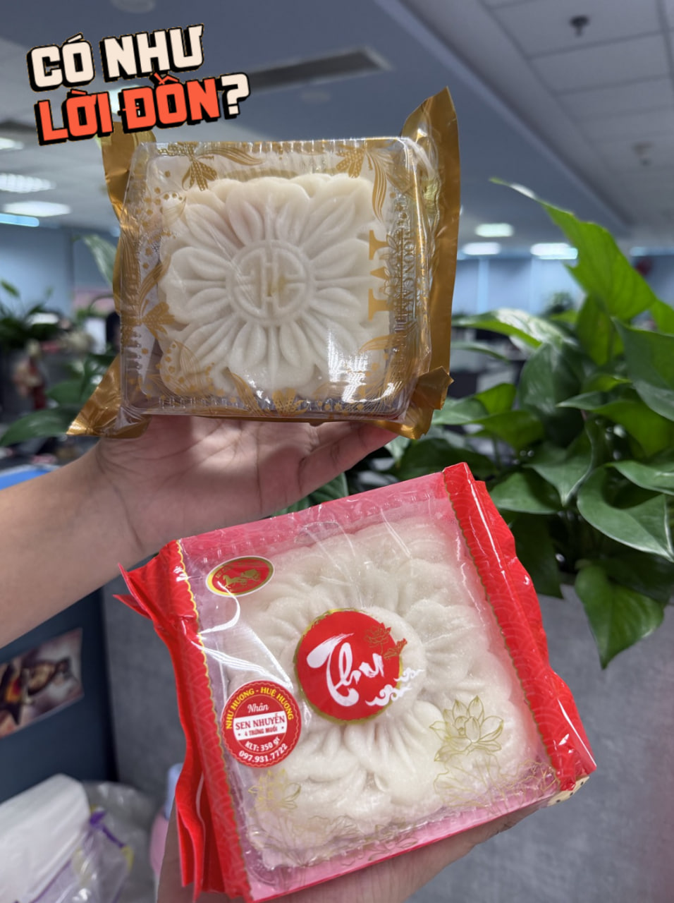Quá đáng tiếc 2 phiên bản “bánh dẻo thị phi” mùa Trung thu 2026: Bản cũ lộm cộm ngọt gắt, bản mới bay sạch hương hoa đặc trưng - Ảnh 2.