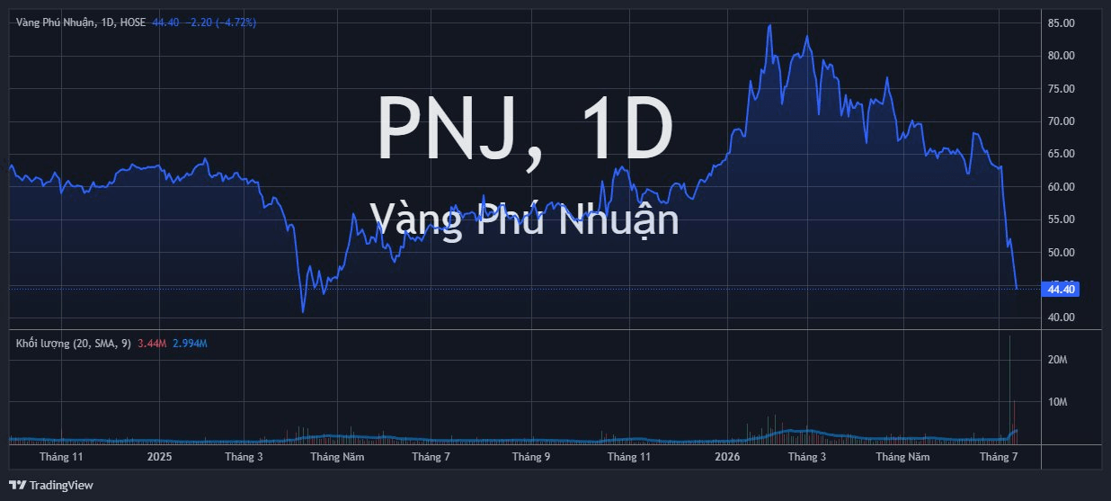 Cổ phiếu PNJ "thủng" đáy, xuống thấp nhất 15 tháng- Ảnh 1.