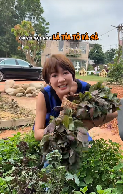 Chán ở biệt thự, “phú bà” phim VFC dựng nhà container để sống - Ảnh 6.
