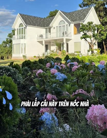 Chán ở biệt thự, “phú bà” phim VFC dựng nhà container để sống - Ảnh 5.