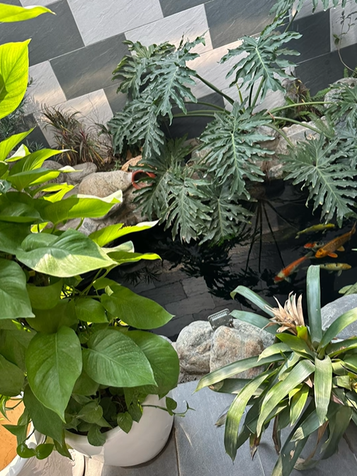 Căn nhà ở quê của Xuân Son- Ảnh 3.