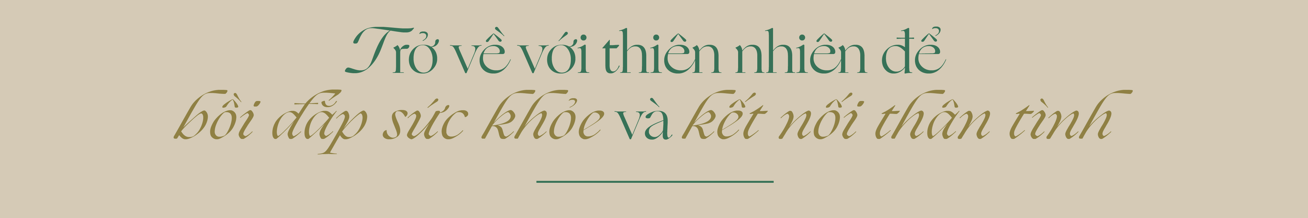 “Người Thanh Xuân”: Khi lựa chọn an trú mở ra nhịp sống mới giữa miền thông reo - Ảnh 1. “Người Thanh Xuân”: Khi lựa chọn an trú mở ra nhịp sống mới giữa miền thông reo - Ảnh 1.