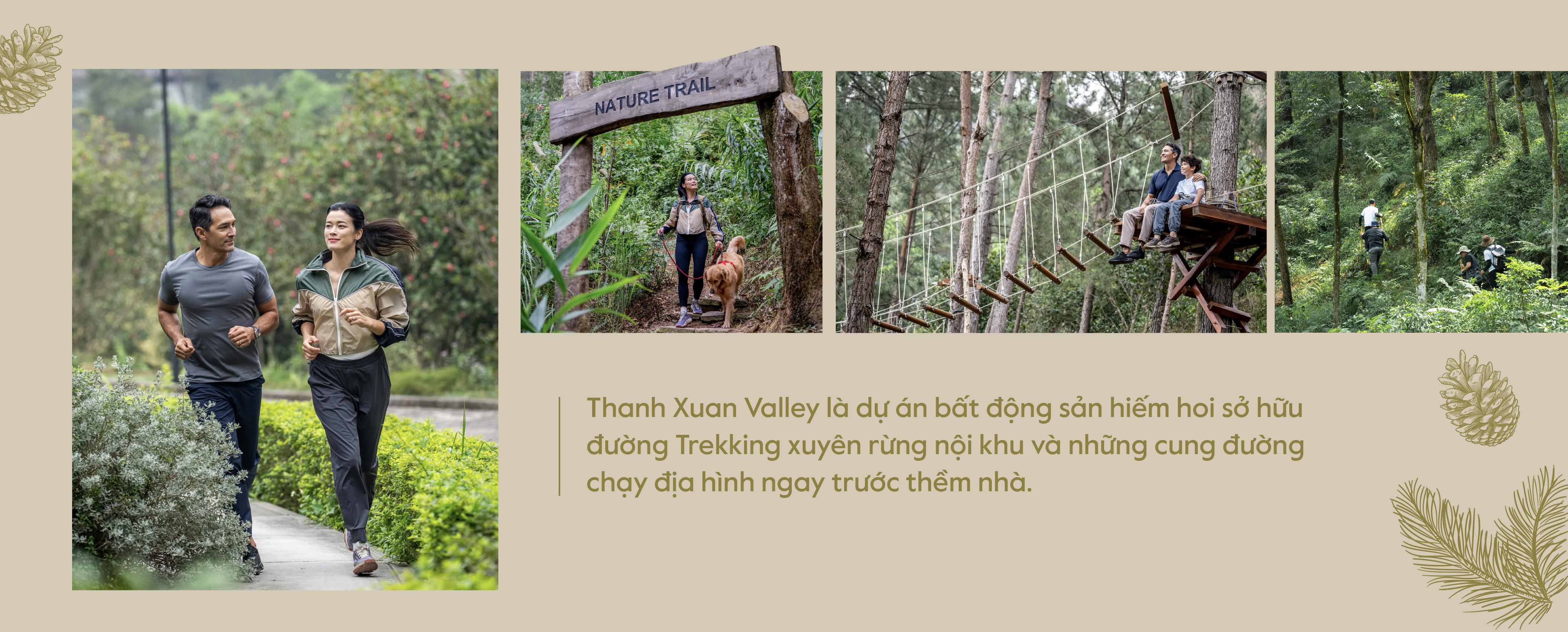 “Người Thanh Xuân”: Khi lựa chọn an trú mở ra nhịp sống mới giữa miền thông reo - Ảnh 4. “Người Thanh Xuân”: Khi lựa chọn an trú mở ra nhịp sống mới giữa miền thông reo - Ảnh 4.